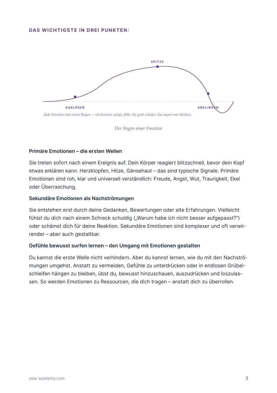 Emotions-Welle — Reflexionsraum